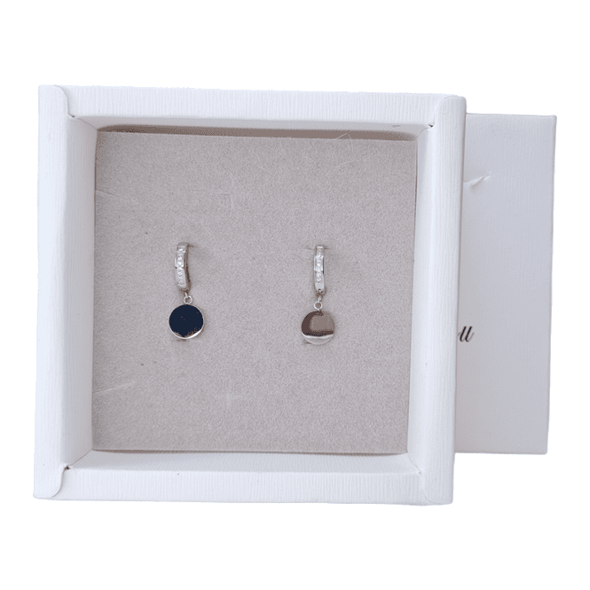 Hovedbilde Ørepynt dangling stainless 3315-R