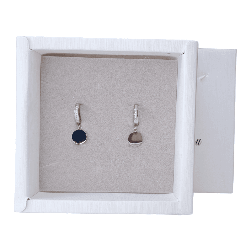 Ørepynt dangling stainless 3315-R
